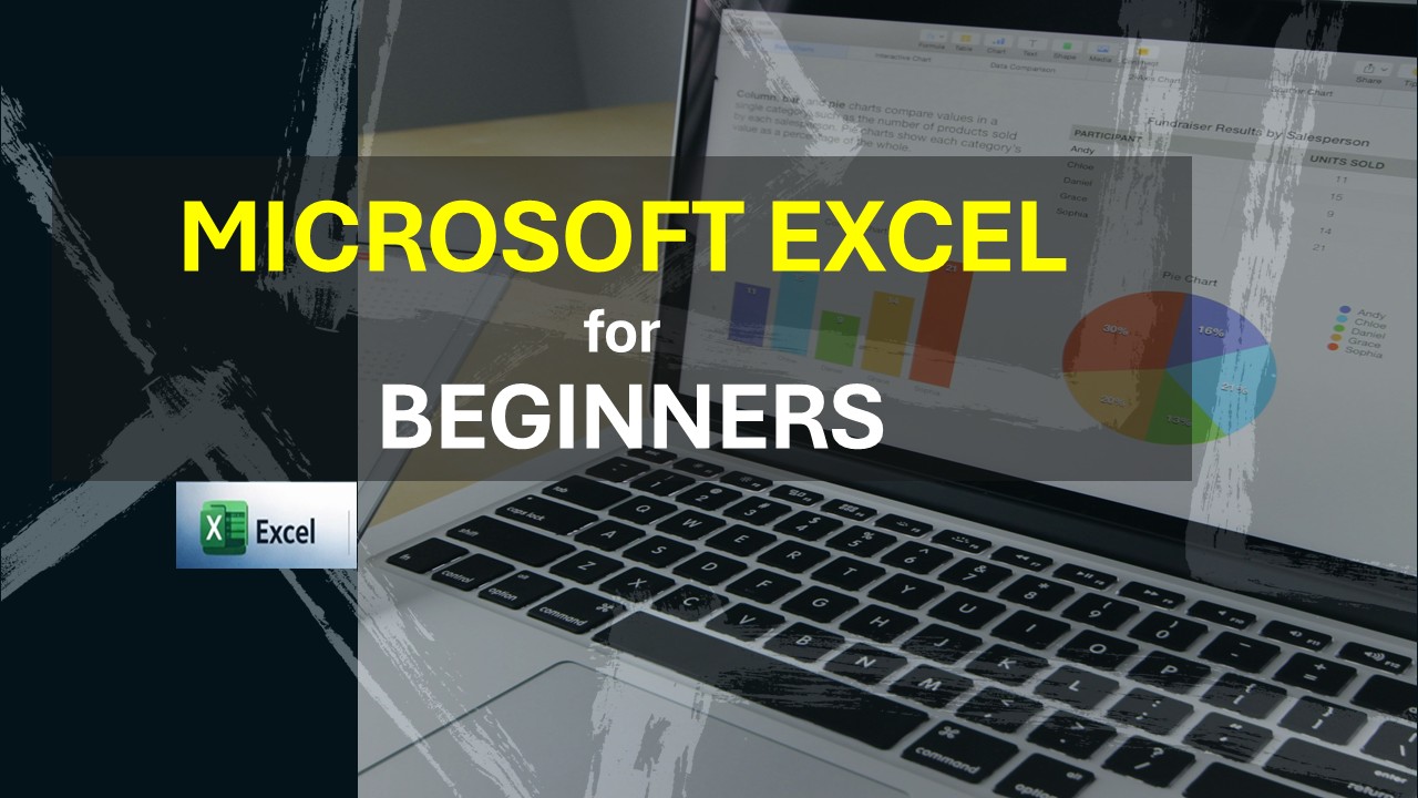 Microsoft Excel for Beginners