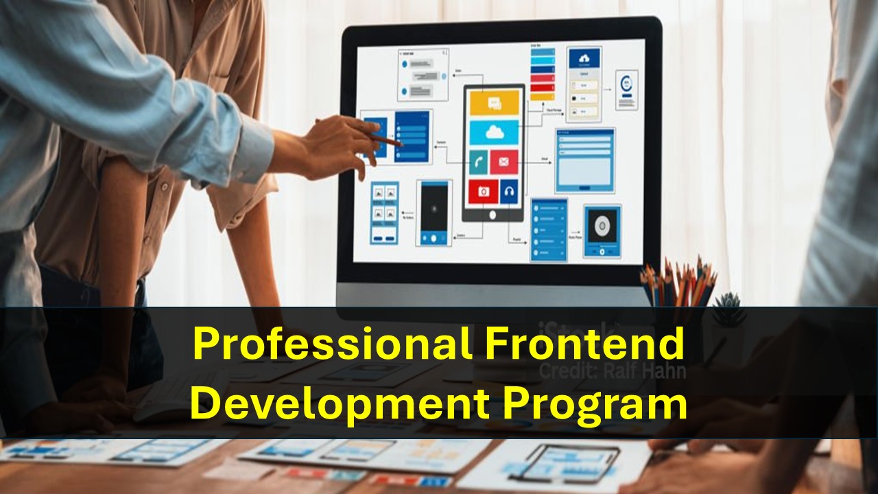 Professional Frontend Development Program