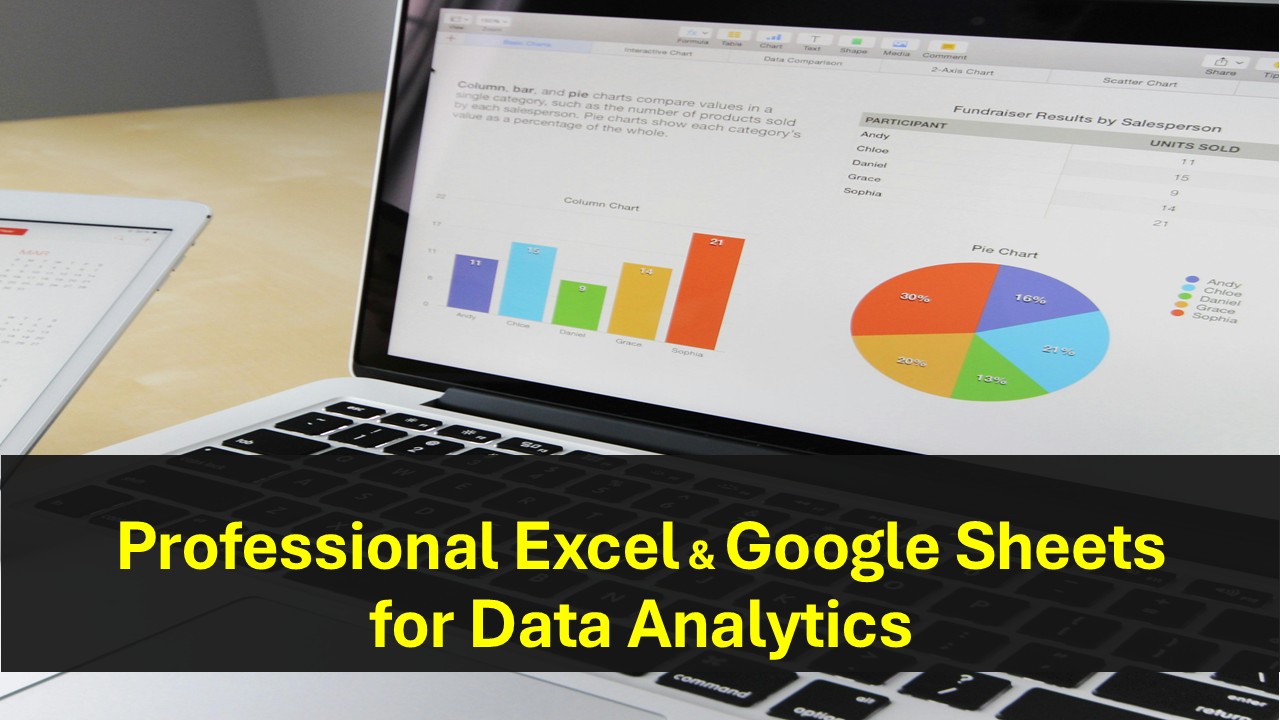 Professional Excel & Google Sheets for Data Analytics
