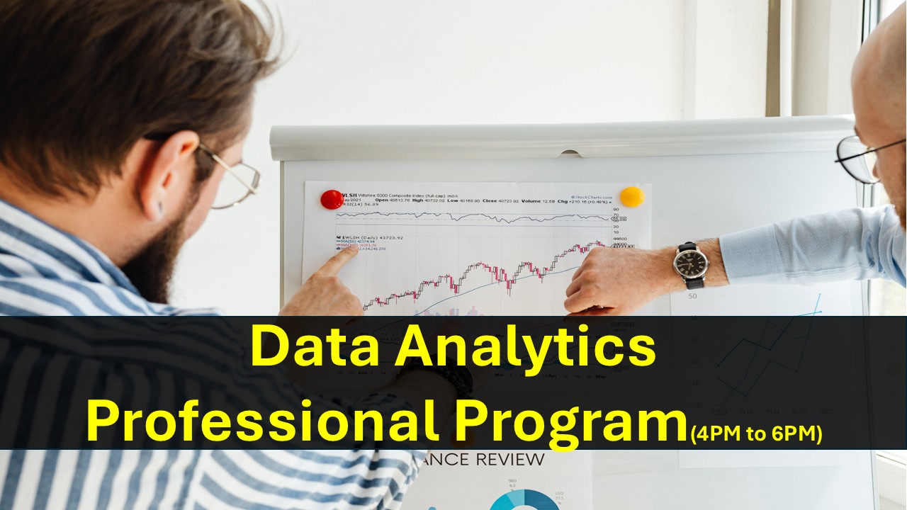 Data Analytics Professional Program (2nd Batch)