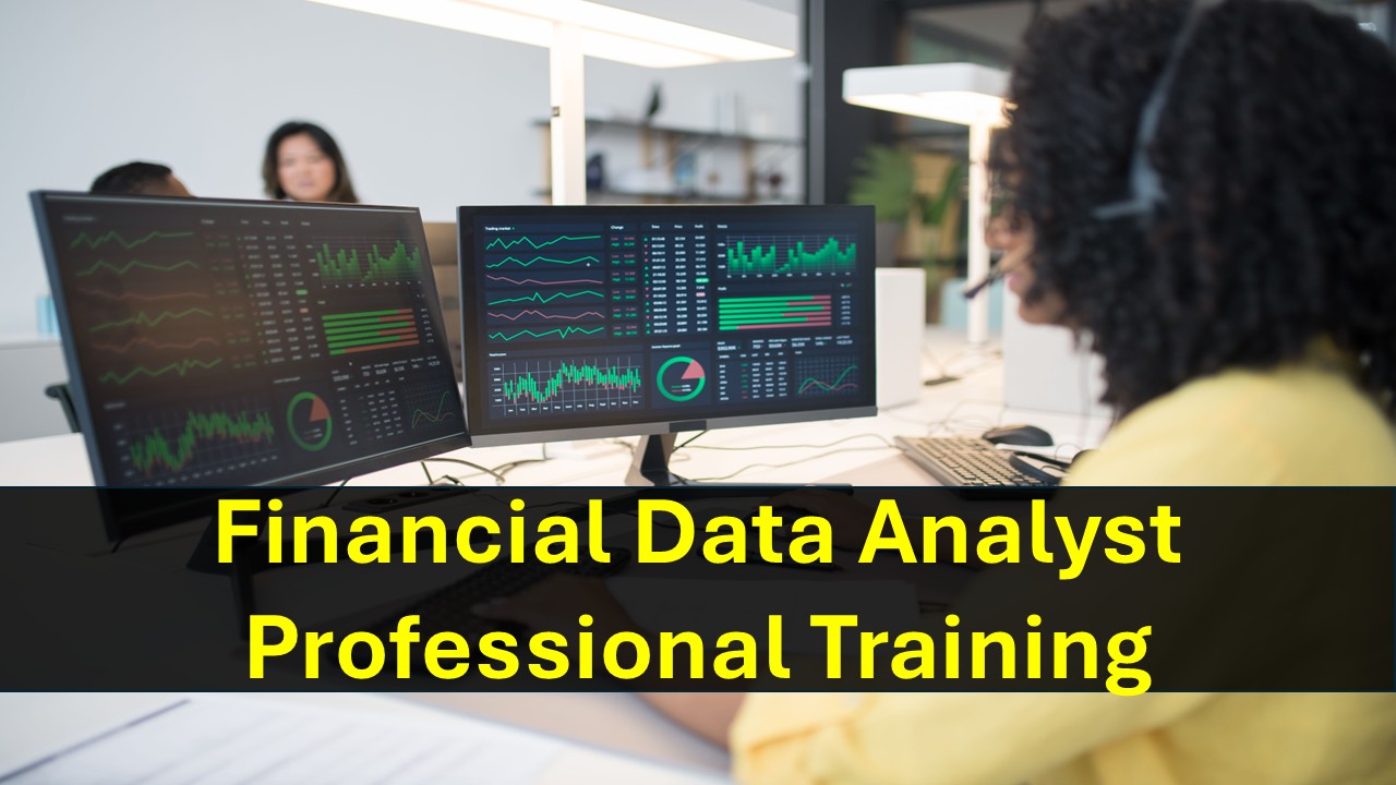 Financial Data Analyst Professional Training