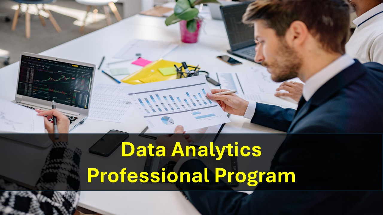 Data Analytics Professional Program Online (3rd Batch)