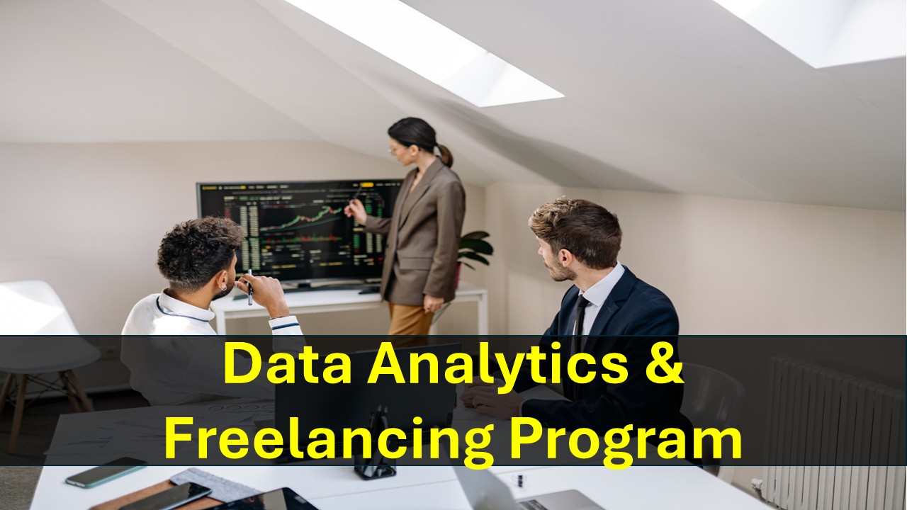 Data Analytics & Freelancing Program